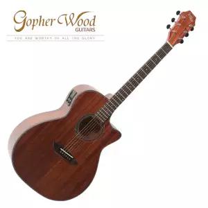 [스쿨뮤직]GopherWood - G130MCE