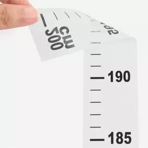 일상에센스 키재기 스티커 200cm 투명키재기스티커