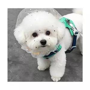 강아지 산책망 얼굴 망사 해충 이물질 물림 오염 섭취 방지 커버 얼굴망 모자