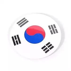 디자인 태극기 뱃지 무궁화 태극기 배지 기념품 한국 여행 태극기뱃지 태극기배지