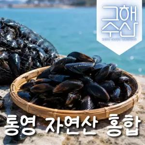 통영 자연산 홍합 2kg 국내산 생홍합 산지직송