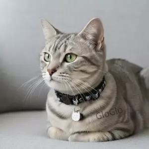 조절 가능한 애완 고양이 목걸이 퀵 릴리스 분실 방지 얼굴 무늬