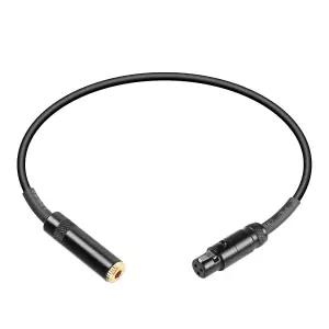 CERRXIAN Mini XLR to 1/8 TRS 오디오 컨버터 어댑터 케이블 - 1FT 3.5mm 3핀 여성형 SLR 카메라 비디오