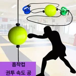펀치볼 복싱 권투훈련 간편한운동 셀프 체력 펀치 실내