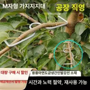 나뭇가지 고정기 과수원 대추나무 나무가지 사과나무