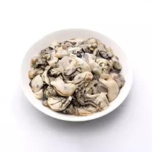 SB 국내산 싱싱한 통영 생굴 2kg