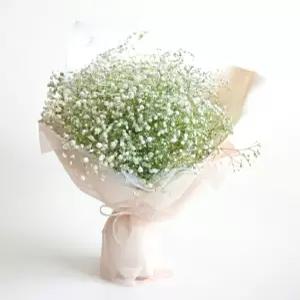 셀프웨딩 부케 안개꽃 생화 꽃다발 플랜테리어 생화인테리어