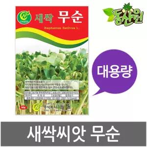 대용량 새싹무순씨앗 500g 1kg 새싹씨앗 무순싹