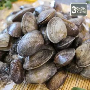 [삼촌밥먹자] 물 바지락 1kg