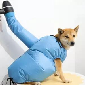 펫 드라이 건조복 간편 애견 목욕용품 수트 밤 강아지목욕 nh70F91