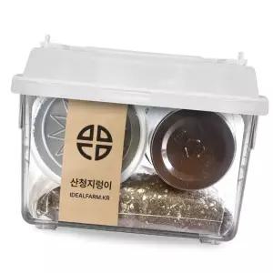 (올핀)관찰 키트 산청지렁이 땅속생물 자연과학 초등과학