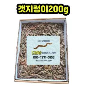 낚시 갯지렁이 200g 청개비 미끼 생물
