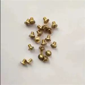 60Pcs 색소폰 고정 나사