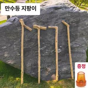 나무지팡이 효도지팡이 감태나무 노인정 장수 연수목 감태