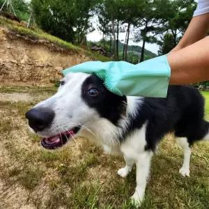 반려동물 제거 장갑 죽은털 목욕장갑 실리콘 양손세트