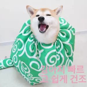 털말리기 애견용 드라이수트 드라이자켓 건조복 수트
