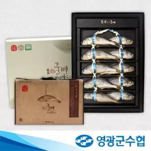 [영광군수협][9/21일 오전9시 주문마감][영광군수협]법성포 영광 굴비 명품 오가 선물세트 1.4kg(10미) ...