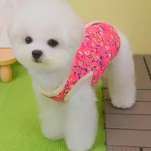 강아지패딩조끼 겨울 조끼 방한 누빔 산책 댕댕이 기모 외투 겨울옷 강아지옷 강아지
