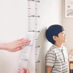 서치12 키재기 스티커 키재기자 시트지 키측정 눈금자 200cm DD-13194 키측정기 키재기스티커 키재기시트지
