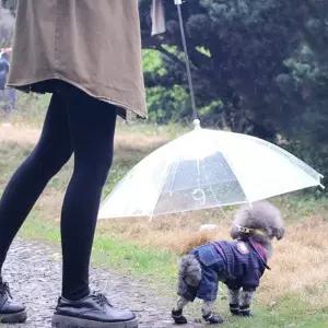 개우산 반려견 애견 우산 강아지 비올때산책 우비 비옷 장화