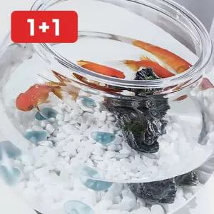 원형어항 플라스틱 구피 베타 12.5cm 소형 관상어 둥근어항