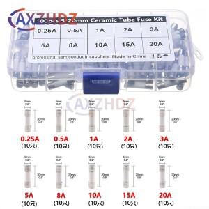 100개 250V 5mm X 고속 세라믹 퓨즈 키트 0.25A 1A 튜브 모음 Ibuw