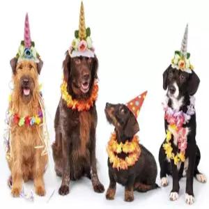 DRAFIDEEP 실버 유니콘형 펫 모자 부드러운 천 소재로 만든 개 고양이 강아지에게 촉감 사진 촬영이나 생일