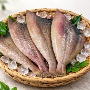 국내산 포항 참가자미 500g (4~6마리)