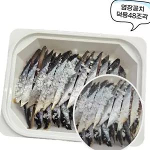 (다올)갈치 심해용 다잡아 염장 꽁치 낚시미끼