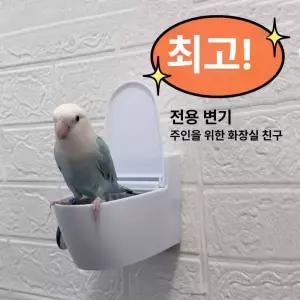 앵무새 배변 훈련 라이너 거치대 라이너가 놀이터 시트