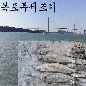 부세조기국내산 (백조기)목포부세조기5마리