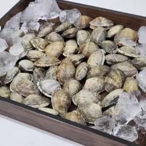 왕 바지락 1kg