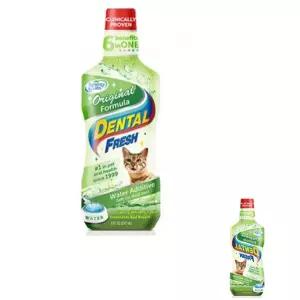 파인테라 덴탈케어 후레쉬 고양이 캣 애묘 가글 위생 치약 236ml 오리지널