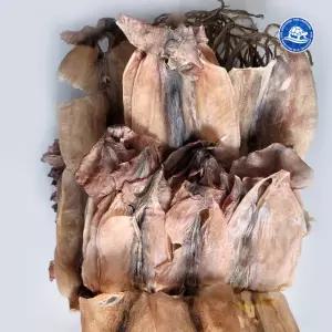 못난이파품오징어 500g 8마리내외 국산 마른오징어