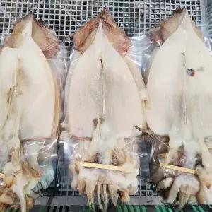포항 구룡포 반건조 오징어 대형 10마리 1kg내외