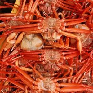 싱싱햇 자숙 홍게 박달 홍개 4kg