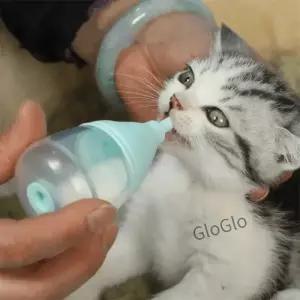 실리콘 고양이 먹이병 질식 방지 물림 애완동물 수유병 40ml 분리형 뚜껑 새끼 먹이통