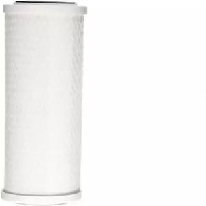 Pentair OMNIFilter CB1 탄소 정수 필터 교체용 카트리지 10인치 x 2.5 싱크대 아래 블록 염소 맛과 냄새