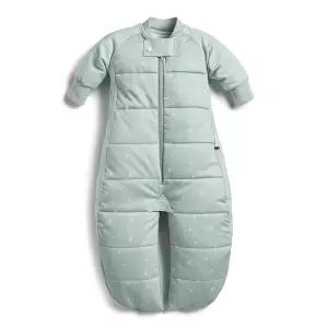 ergoPouch 긴팔 카시트 안전 수면 가방 3-12개월용 2.5 TOG 다리가 달린 2-in-1 변환형 겸 수면복 5점식
