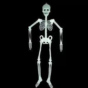 ( )할로윈장식 야광해골 대 할로윈소품 할로윈포토존 할로윈데이소품