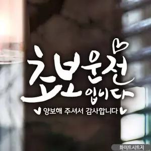 캘리 화이트 초보운전 차량용스티커 운전초보 자동차레터링 스티커