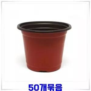 [제이큐]플라스틱 원형 화분 7.5cm 50개 9x7.5 모종화분 집들이선물 관엽식물