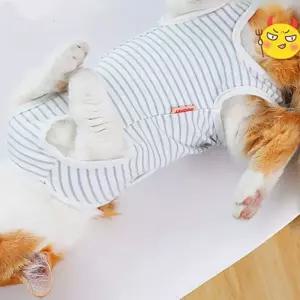 (올핀)중성화복 강아지 고양이 스프라이트 수술복
