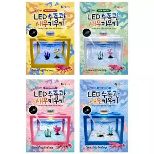 LED 수족관 새우키우기 랜덤
