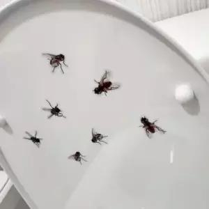 변기 부착 파리스티커