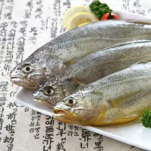 서귀포수협 제주 저염 참조기 700g/8미