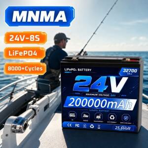 24V 150Ah/180Ah/200Ah 리튬인산철 휴대용 충전식 배터리 RV/선박/태양광/인버터용 내장 100A BMS 8000+ 냉