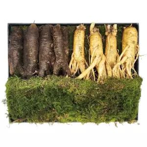 수삼400g 더덕600g 혼합 선물세트 코스트코