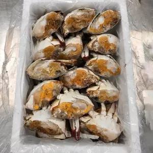 하프절단 2kg 편한 손질 가득 암꽃게 암꽃게 속살 (12-20조각)