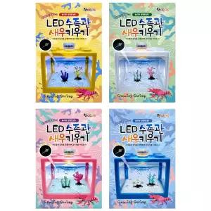 LED 수족관 새우 키우기 랜덤 바다 관찰 학습 물멍 단체 선물 판촉물